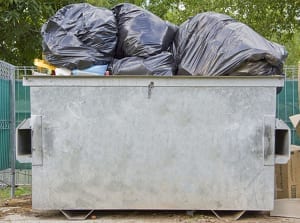 Heart Space Dumpster