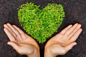 The Heart Chakra