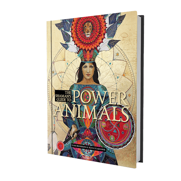 Lori Morrison - Power Animals