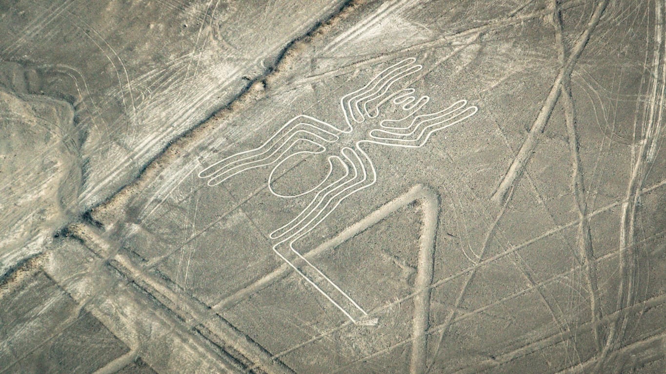 Американское плато с геоглифом паук. Наска паук геоглиф. Паук Наска. Nazca lines группа. Наска геоглифы кошка.