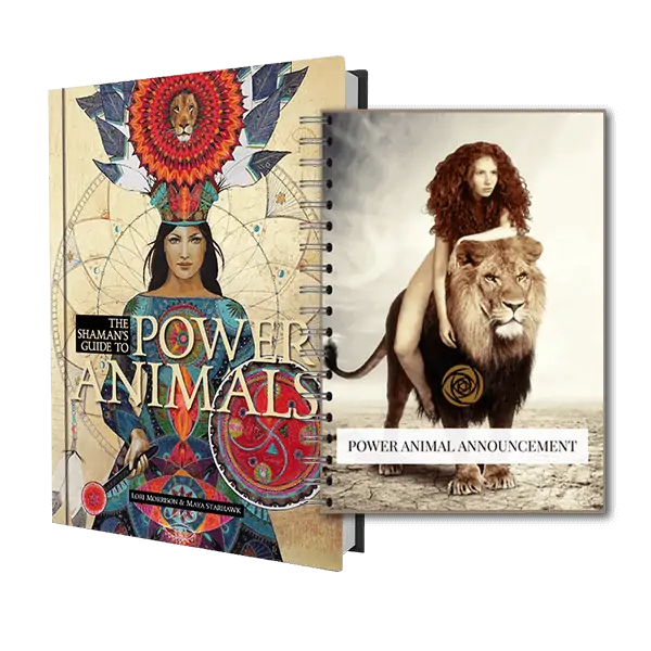 powerAnimal-bundle Lori Morrison - Shop